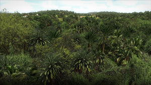 HD Textures