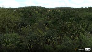 Trees HD
