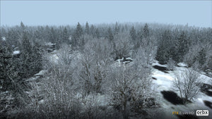 Trees HD