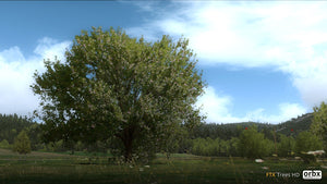 Trees HD