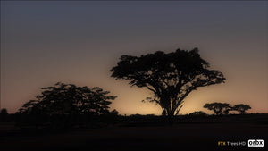 Trees HD