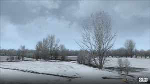 Trees HD