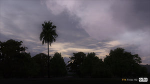 Trees HD
