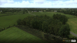 Trees HD